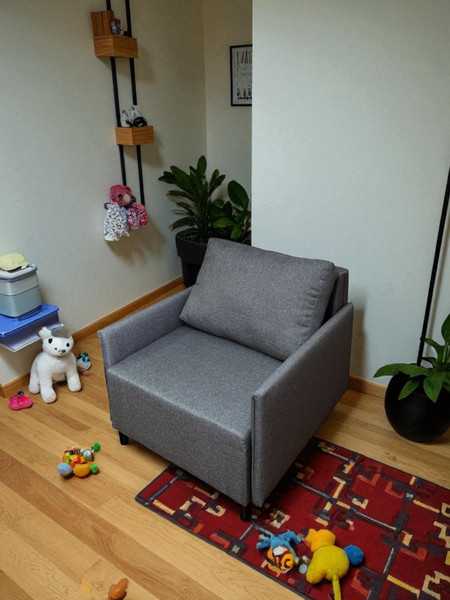 Изображение товара Кресло-кровать Домовой Визит-3 1 (80) (Lux 06)