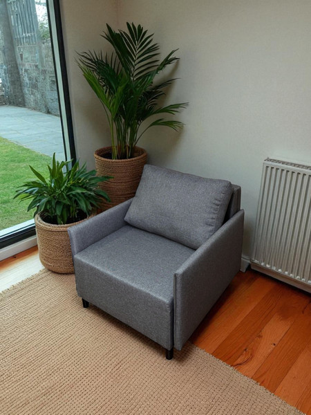 Изображение товара Кресло-кровать Домовой Визит-3 1 (80) (Lux 06)