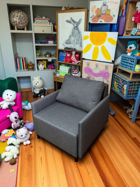 Изображение товара Кресло-кровать Домовой Визит-3 1 (80) (Lux 06)