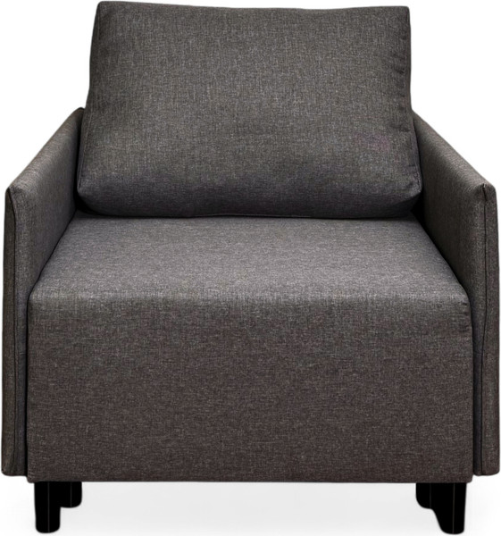 Изображение товара Кресло-кровать Домовой Визит-3 1 (80) (Lux 06)