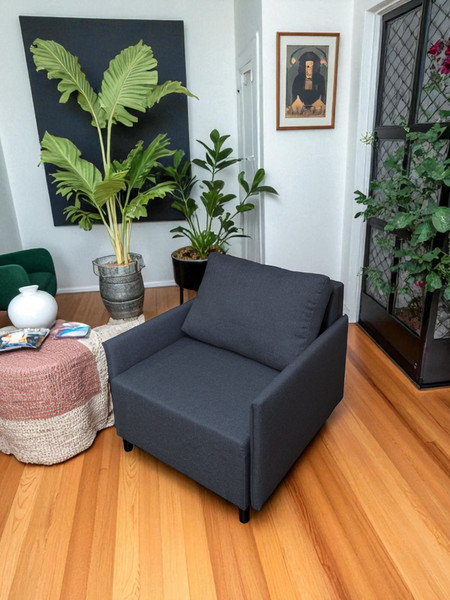 Изображение товара Кресло-кровать Домовой Визит-3 1 (80) (Lux 18)