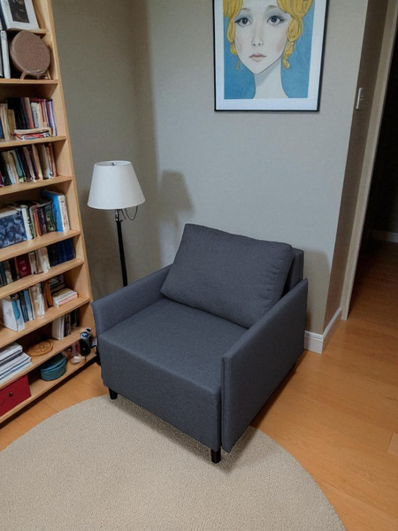 Изображение товара Кресло-кровать Домовой Визит-3 1 (80) (Lux 18)