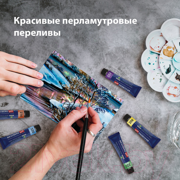 Изображение товара Акриловая краска Brauberg Art Classic / 192243 (12цв)