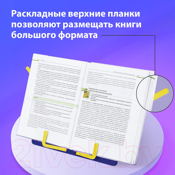 Изображение товара Подставка для книг Brauberg Kids. Dinosaurs / 238060