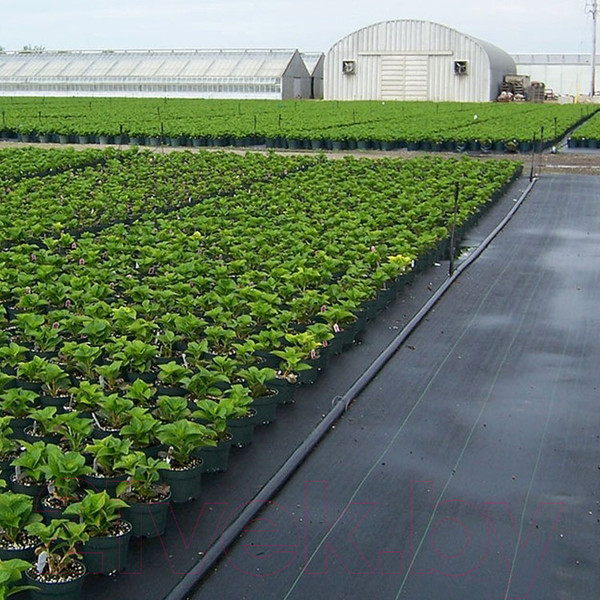 Изображение товара Укрывной материал Lanex Агроткань РП 1.60х5м / 7603 (черный)