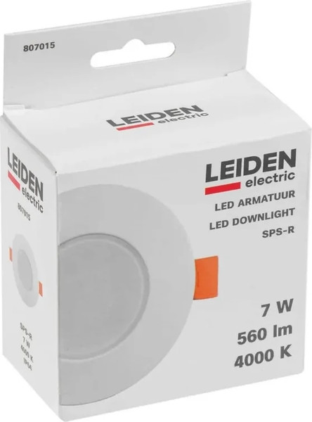 Изображение товара Точечный светильник Leiden Electric 807015