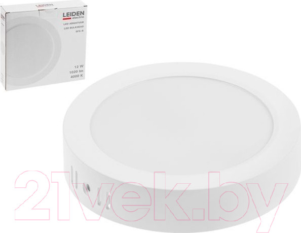 Изображение товара Точечный светильник Leiden Electric 807009