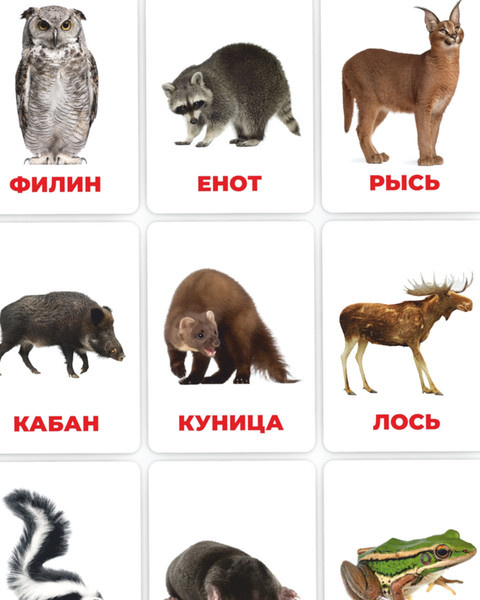 Изображение товара Развивающие карточки Mega Toys Головоломка Лесные животные / 12122