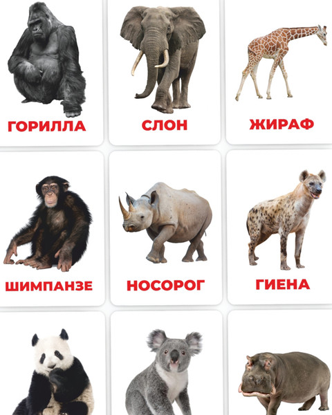 Изображение товара Развивающие карточки Mega Toys Головоломка Дикие животные / 12133