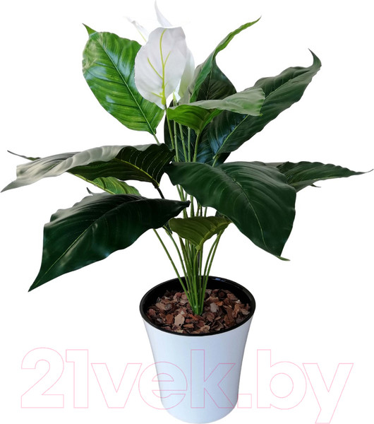Изображение товара Искусственное растение ForGarden Cпатифиллум в горшке / BN10856