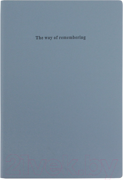 Изображение товара Ежедневник Darvish DV-14819D (96л)