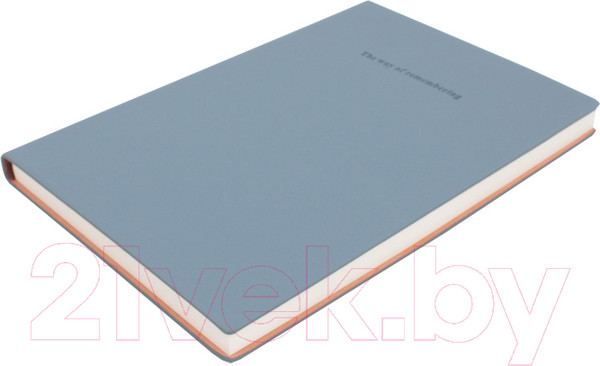 Изображение товара Ежедневник Darvish DV-14819D (96л)