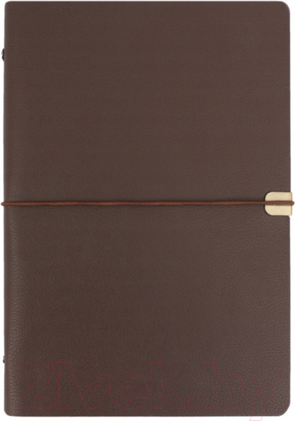 Изображение товара Ежедневник Darvish DV-14825B (96л, коричневый)