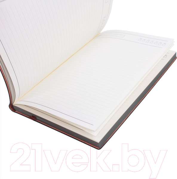 Изображение товара Ежедневник Darvish DV-14803B (100л, черный)