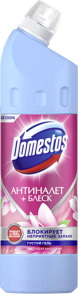Изображение товара Универсальное чистящее средство Domestos Цветущая магнолия (750мл)