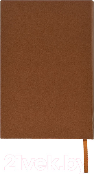 Изображение товара Ежедневник Lite Derbi / DNBL-DRBA5/Brw (136л, коричневый)