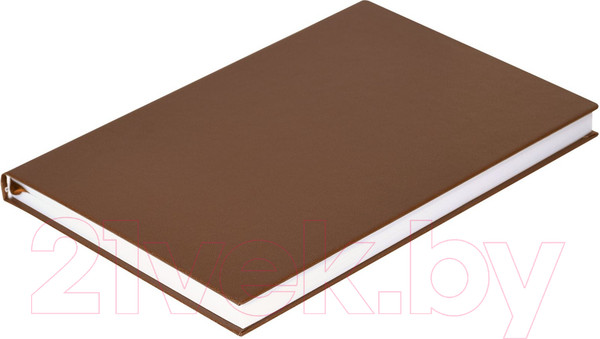 Изображение товара Ежедневник Lite Derbi / DNBL-DRBA5/Brw (136л, коричневый)