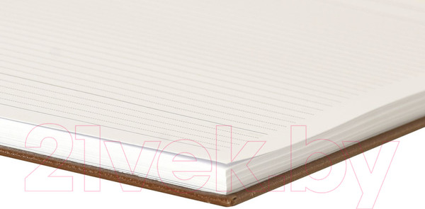 Изображение товара Ежедневник Lite Derbi / DNBL-DRBA5/Brw (136л, коричневый)