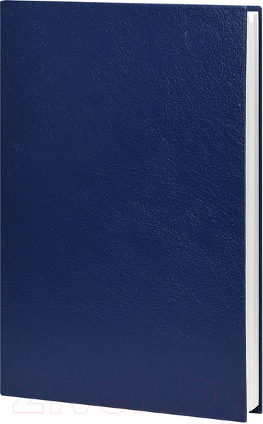 Изображение товара Ежедневник Lite Derbi / DNBL-DRBA5/LBl (136л, светло-синий)