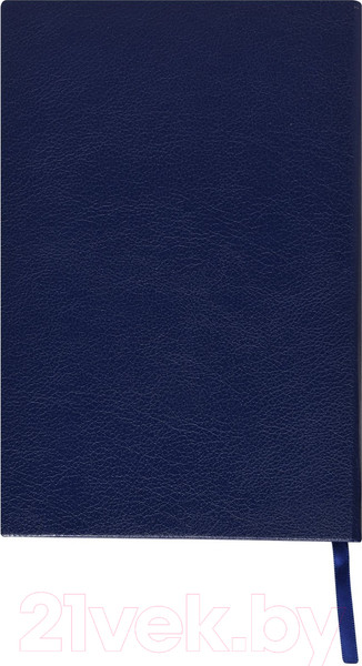 Изображение товара Ежедневник Lite Derbi / DNBL-DRBA5/LBl (136л, светло-синий)