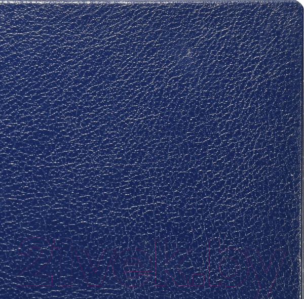 Изображение товара Ежедневник Lite Derbi / DNBL-DRBA5/LBl (136л, светло-синий)