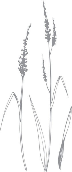 Изображение товара Книга АСТ Стучитесь в личку, твердая обложка (Никольская Анна)