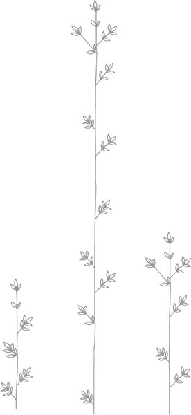 Изображение товара Книга АСТ У чуда две стороны, твердая обложка (Габова Елена)