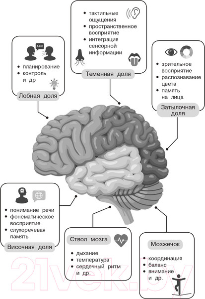 Изображение товара Книга АСТ 500 ответов нейропсихолога / 9785171510770 (Тимощенко Е.Г.)