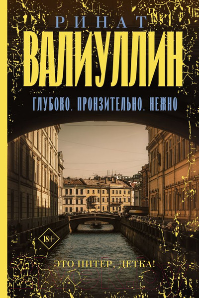 Художественная книга АСТ Глубоко. Пронзительно. Нежно / 9785171587956 (Валиуллин Р.) — фото 5