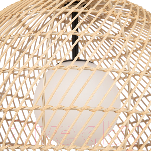 Изображение товара Потолочный светильник Maytoni Cane MOD204PL-01BG