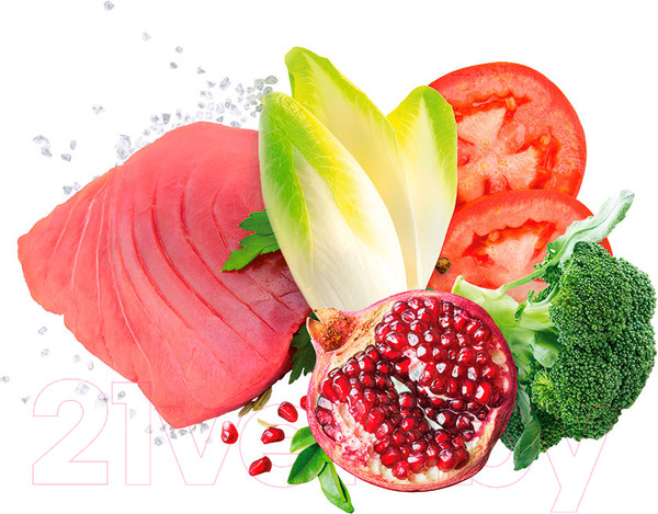 Изображение товара Сухой корм для собак Exclusion Monoprotein Small Tuna Noble Grain для мелких пород / NGATS02 (2кг)