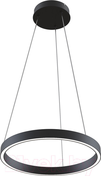 Изображение товара Потолочный светильник Maytoni Rim MOD058PL-L22BK