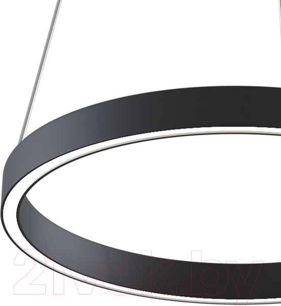 Изображение товара Потолочный светильник Maytoni Rim MOD058PL-L22BK