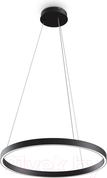 Изображение товара Потолочный светильник Maytoni Rim MOD058PL-L32BK