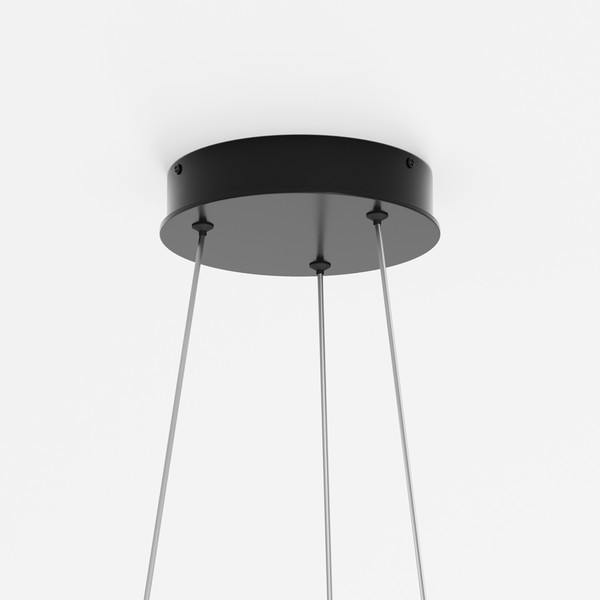 Изображение товара Потолочный светильник Maytoni Rim MOD058PL-L54BK