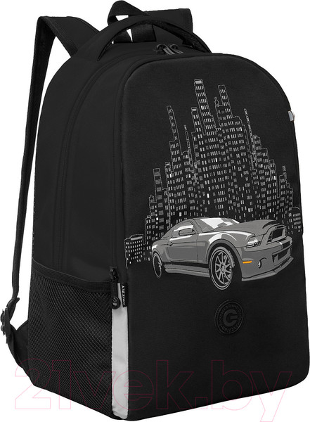 Изображение товара Школьный рюкзак Grizzly RB-451-8 (черный)