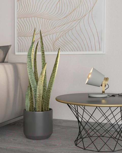 Изображение товара Прикроватная лампа Eglo Twicken 43841