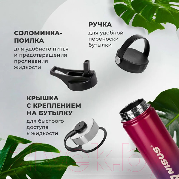 Изображение товара Термос для напитков Nisus N.TB-022-RB (530мл)