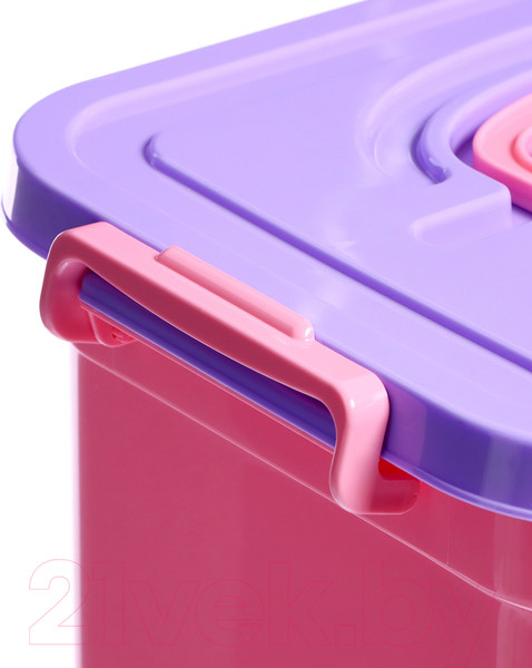 Изображение товара Контейнер для хранения Соломон Пони / 9354597