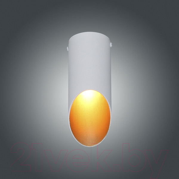 Изображение товара Потолочный светильник Элетех Соната 111 НПБ 01-25-101 G9 / 1005405288 (белый/золото)