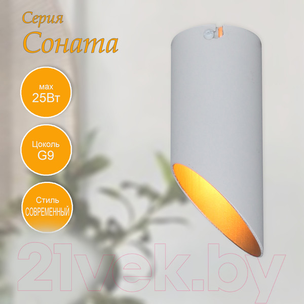 Изображение товара Потолочный светильник Элетех Соната 111 НПБ 01-25-101 G9 / 1005405288 (белый/золото)