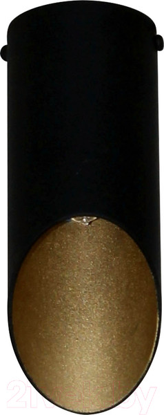 Изображение товара Потолочный светильник Элетех Соната 111 НПБ 01-25-101 G9 / 1005405287 (черный/золото)