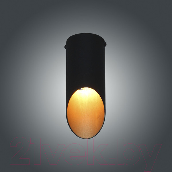 Изображение товара Потолочный светильник Элетех Соната 111 НПБ 01-25-101 G9 / 1005405287 (черный/золото)