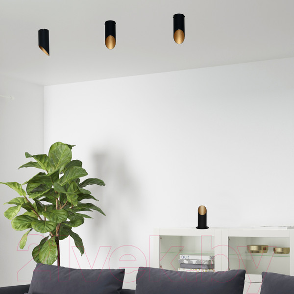 Изображение товара Потолочный светильник Элетех Соната 111 НПБ 01-25-101 G9 / 1005405287 (черный/золото)