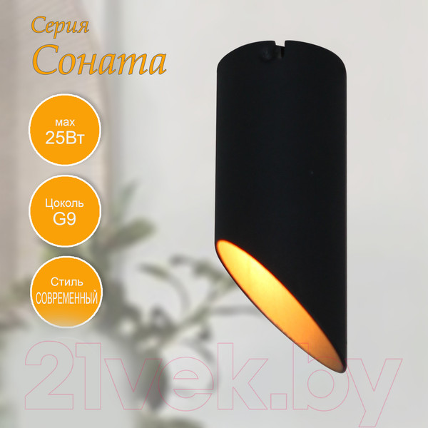 Изображение товара Потолочный светильник Элетех Соната 111 НПБ 01-25-101 G9 / 1005405287 (черный/золото)