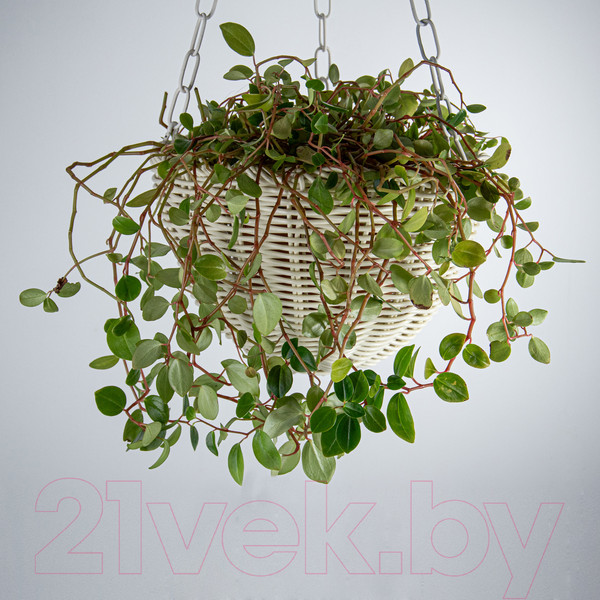 Изображение товара Кашпо Элетех 4845000007