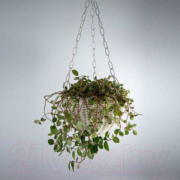 Изображение товара Кашпо Элетех 4845000007