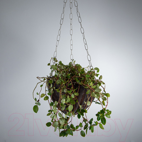 Изображение товара Кашпо Элетех 4845000008