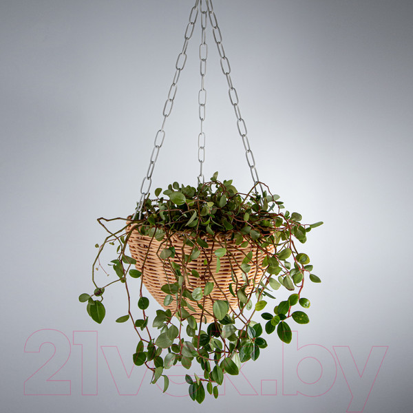 Изображение товара Кашпо Элетех 4845000009