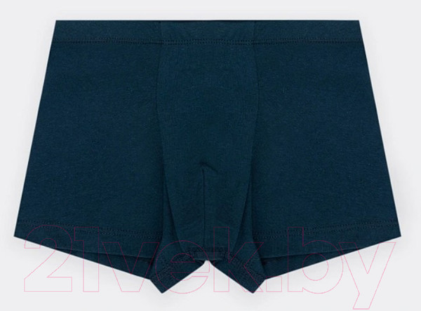 Изображение товара Комплект трусов детских Mark Formelle 413344-2 (р.104/110-56-51, голубой)